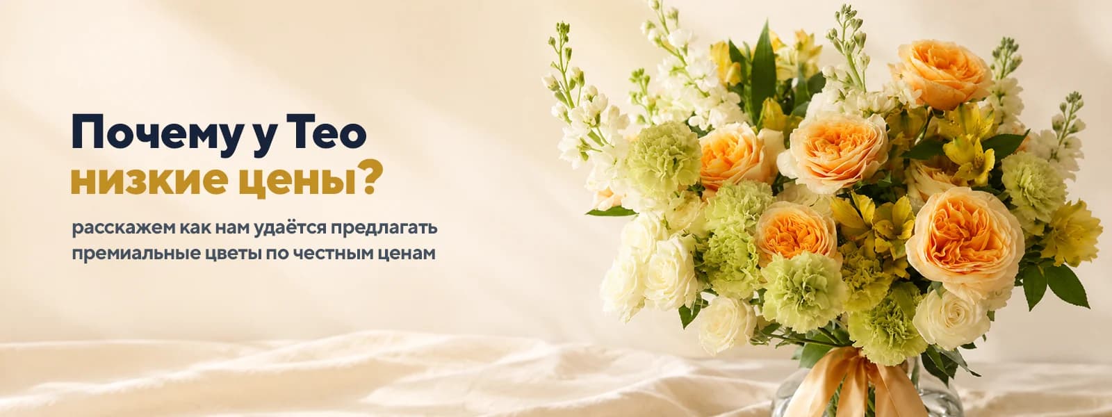 Почему у Тео низкие цены