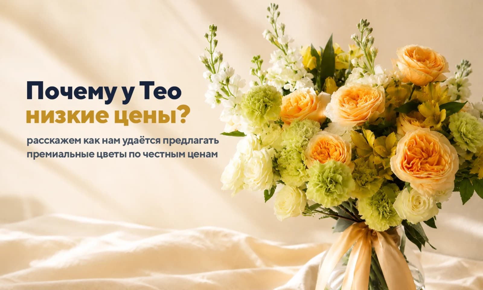 Почему у Тео низкие цены